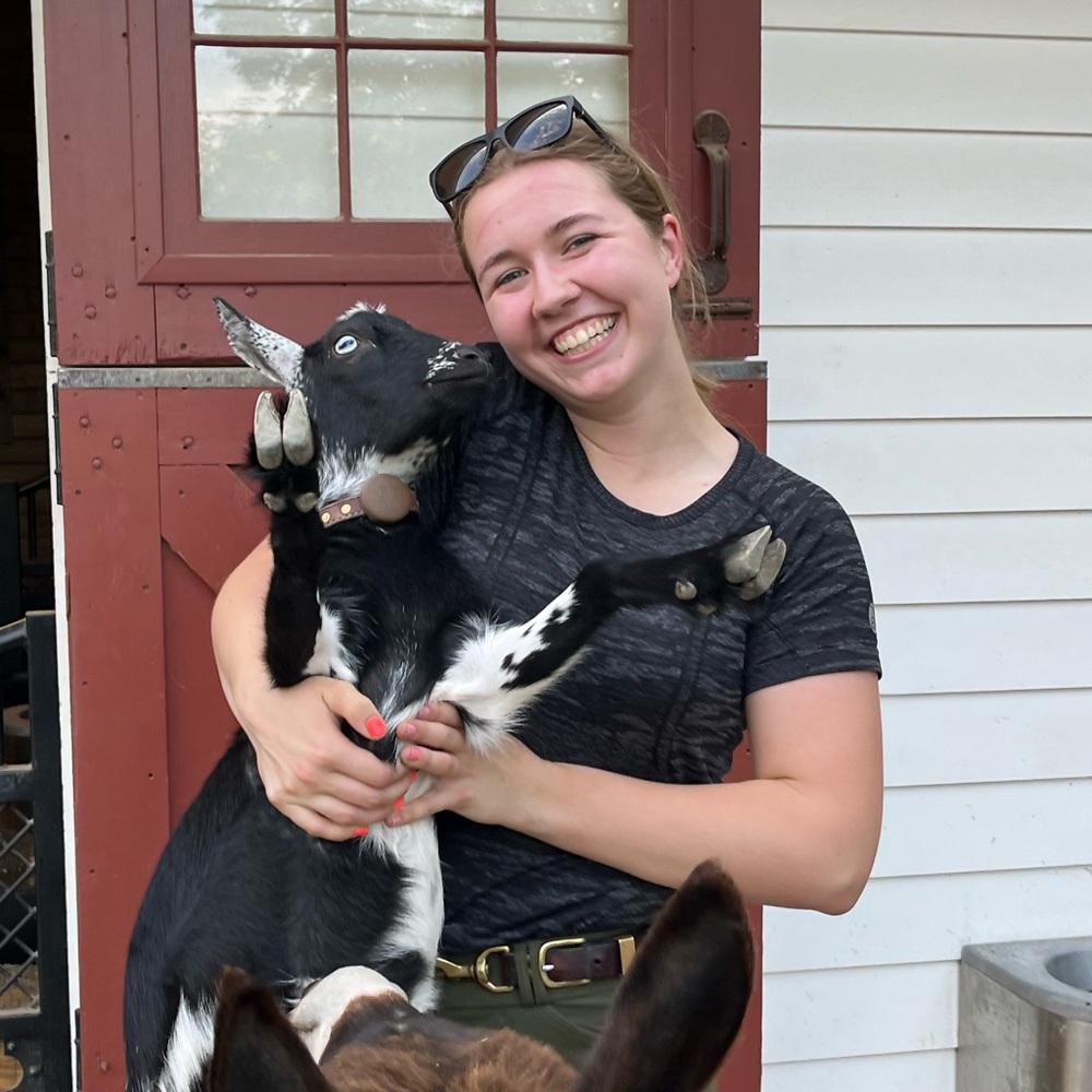 Meet your Posher, Dot